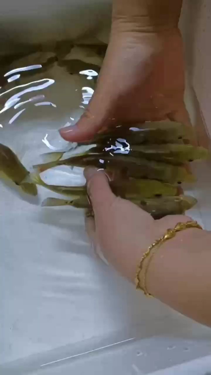 三間類眼般