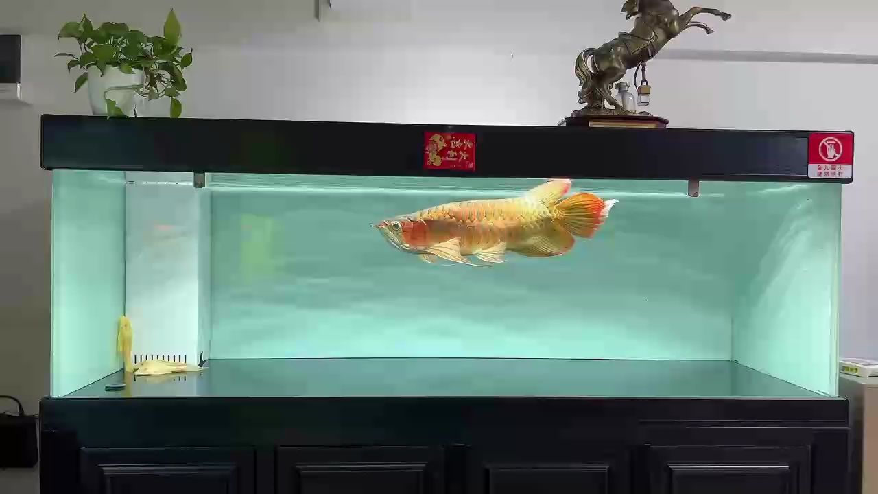 物以類聚.人以群分.！