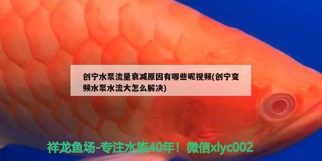 創寧水泵流量衰減原因有哪些呢視頻(創寧變頻水泵水流大怎么解決)