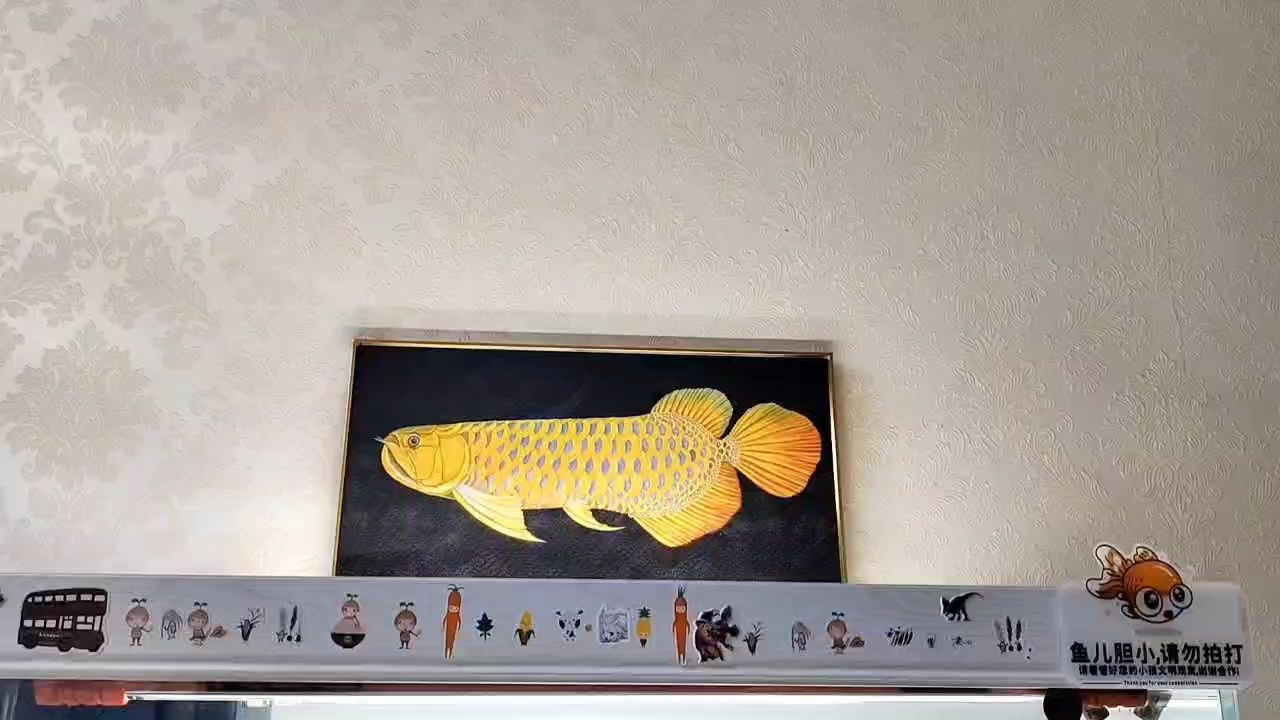 老炮駕到