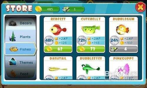 如何策劃水族館互動游戲（如何策劃有效的水族館互動游戲） 如何策劃水族館互動游戲（如何策劃有效的水族館互動游戲） 水族館百科（水族館加盟） 第3張