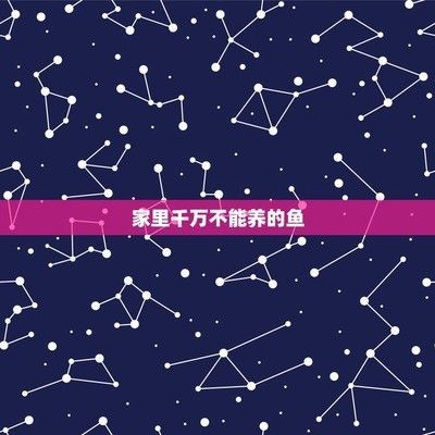 養金龍魚10大忌：養殖金龍魚的十大禁忌