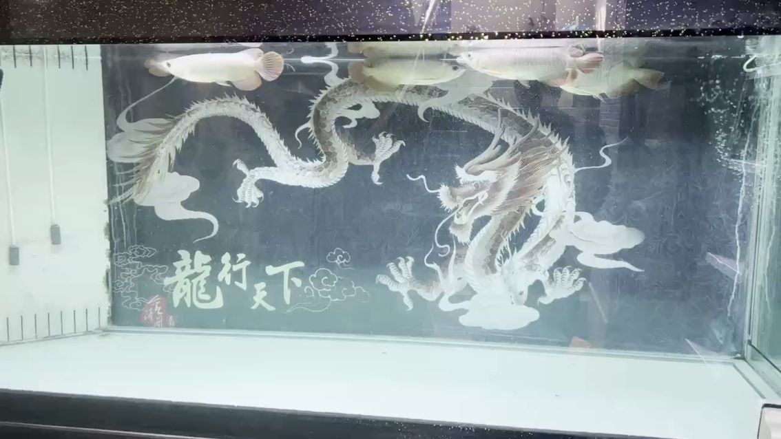 二月初一。迎接明天的龍抬頭喲。