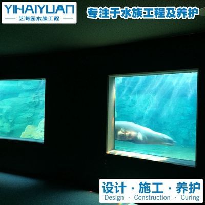 水族館怎么經營：水族館的經營策略
