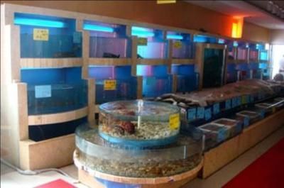水族館怎么經(jīng)營：水族館的經(jīng)營策略