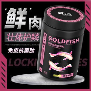 魚龍是魚嗎？揭秘史前海洋霸主的真實身份