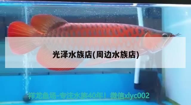 光澤水族店(周邊水族店)