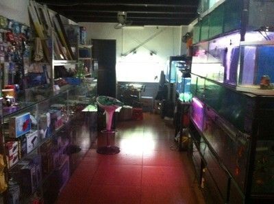 水族館從哪里進(jìn)貨（水族館的進(jìn)貨渠道）
