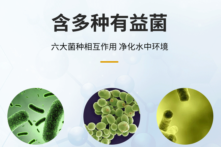 znb硝化細菌（znb硝化細菌使用心得）