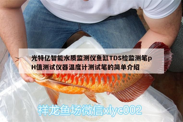 光特億智能水質(zhì)監(jiān)測(cè)儀魚(yú)缸TDS檢監(jiān)測(cè)筆pH值測(cè)試儀器溫度計(jì)測(cè)試筆的簡(jiǎn)單介紹
