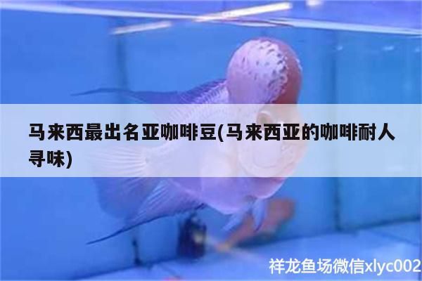 馬來西最出名亞咖啡豆(馬來西亞的咖啡耐人尋味)