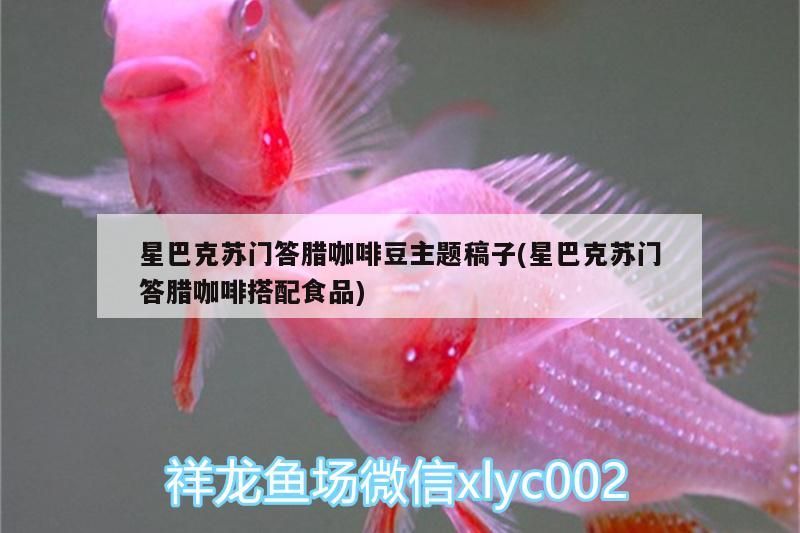 星巴克蘇門答臘咖啡豆主題稿子(星巴克蘇門答臘咖啡搭配食品)
