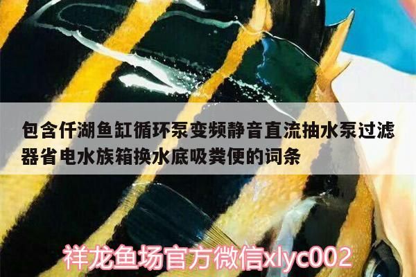 包含仟湖魚缸循環泵變頻靜音直流抽水泵過濾器省電水族箱換水底吸糞便的詞條