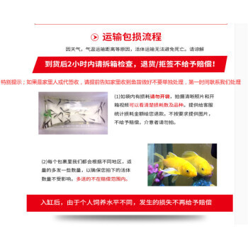 1～3厘米鯉魚苗的圖片（1～3厘米鯉魚苗圖片）