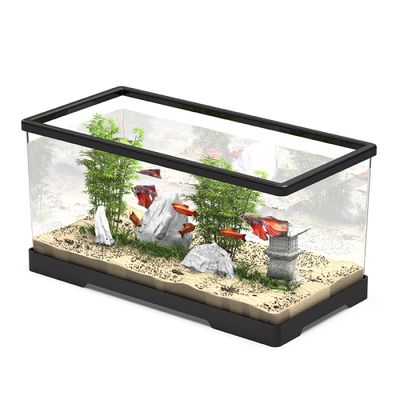 天津市靜海區(qū)龍年水族用品經(jīng)營(yíng)館（天津市靜海區(qū)龍年水族用品經(jīng)營(yíng)館地址）
