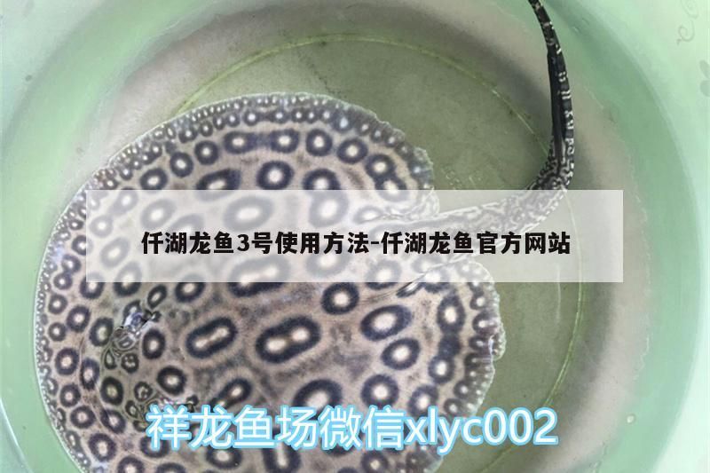 仟湖龍魚3號使用方法:仟湖龍魚官方網(wǎng)站