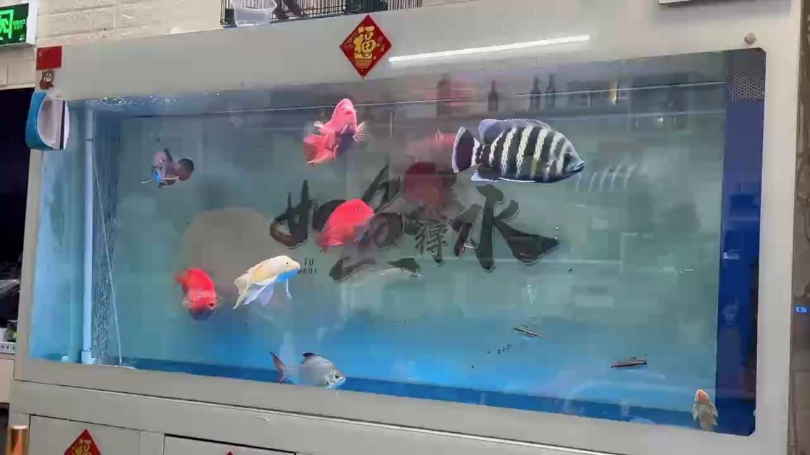 體型、發色感覺越來越好了