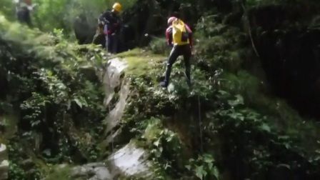 豬鼻龜交流群：豬鼻龜交流群可以為豬鼻龜愛好者可以為豬鼻龜愛好者提供一個交流
