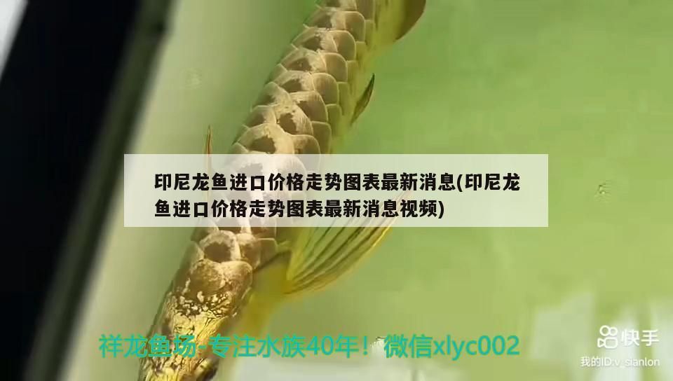 清理完魚缸如何養水藻（清理魚缸后養水多久可以放魚）