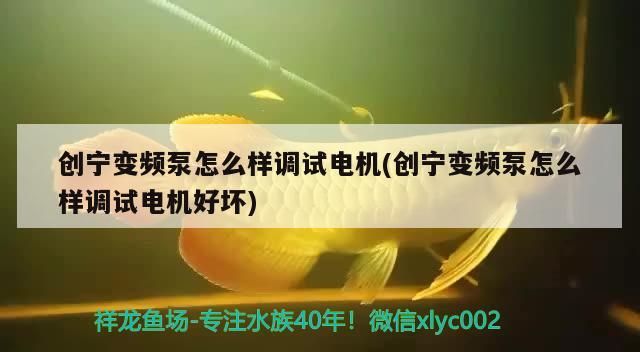 創寧變頻泵怎么樣調試電機(創寧變頻泵怎么樣調試電機好壞)