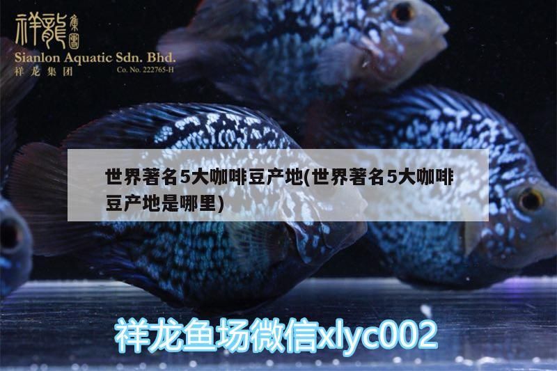 世界著名5大咖啡豆產地(世界著名5大咖啡豆產地是哪里)
