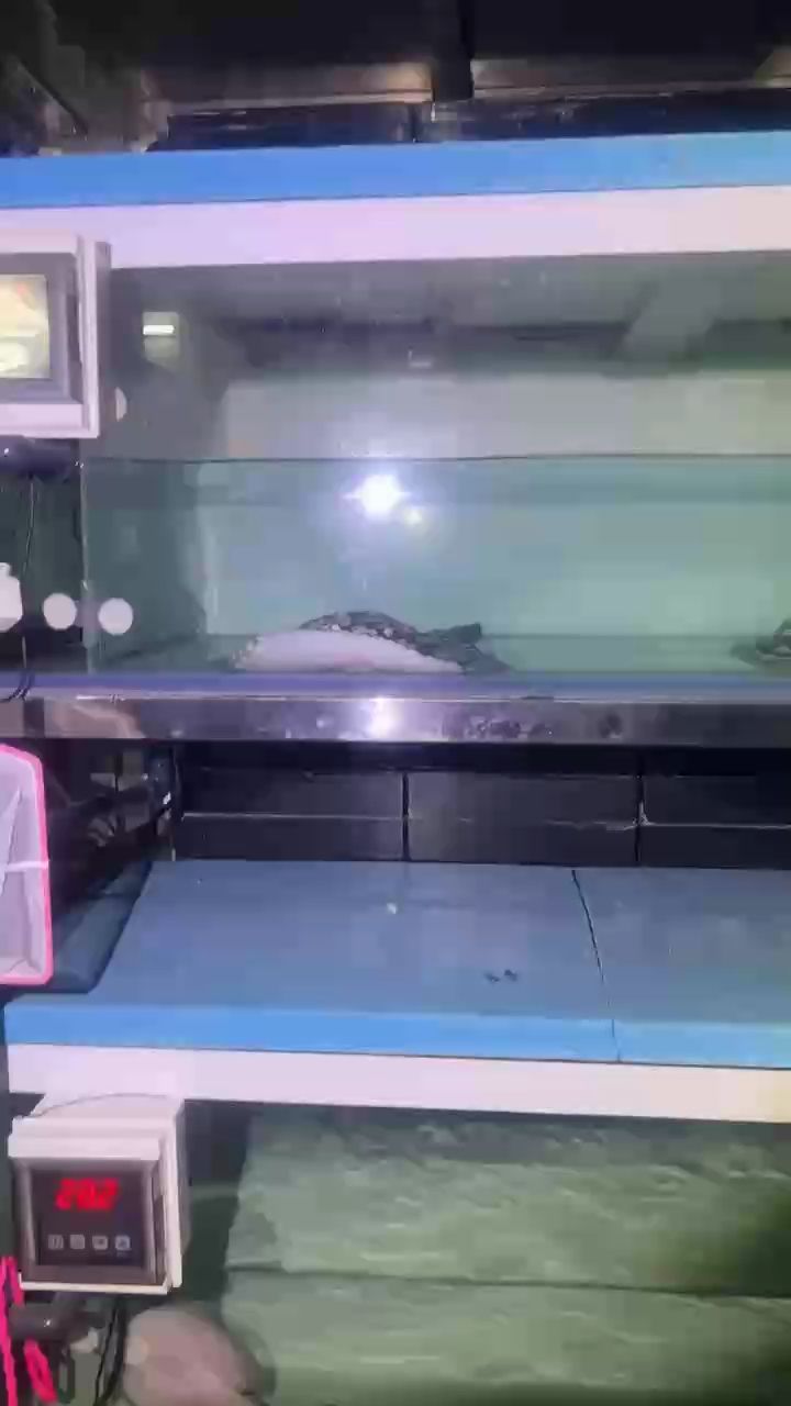 分享