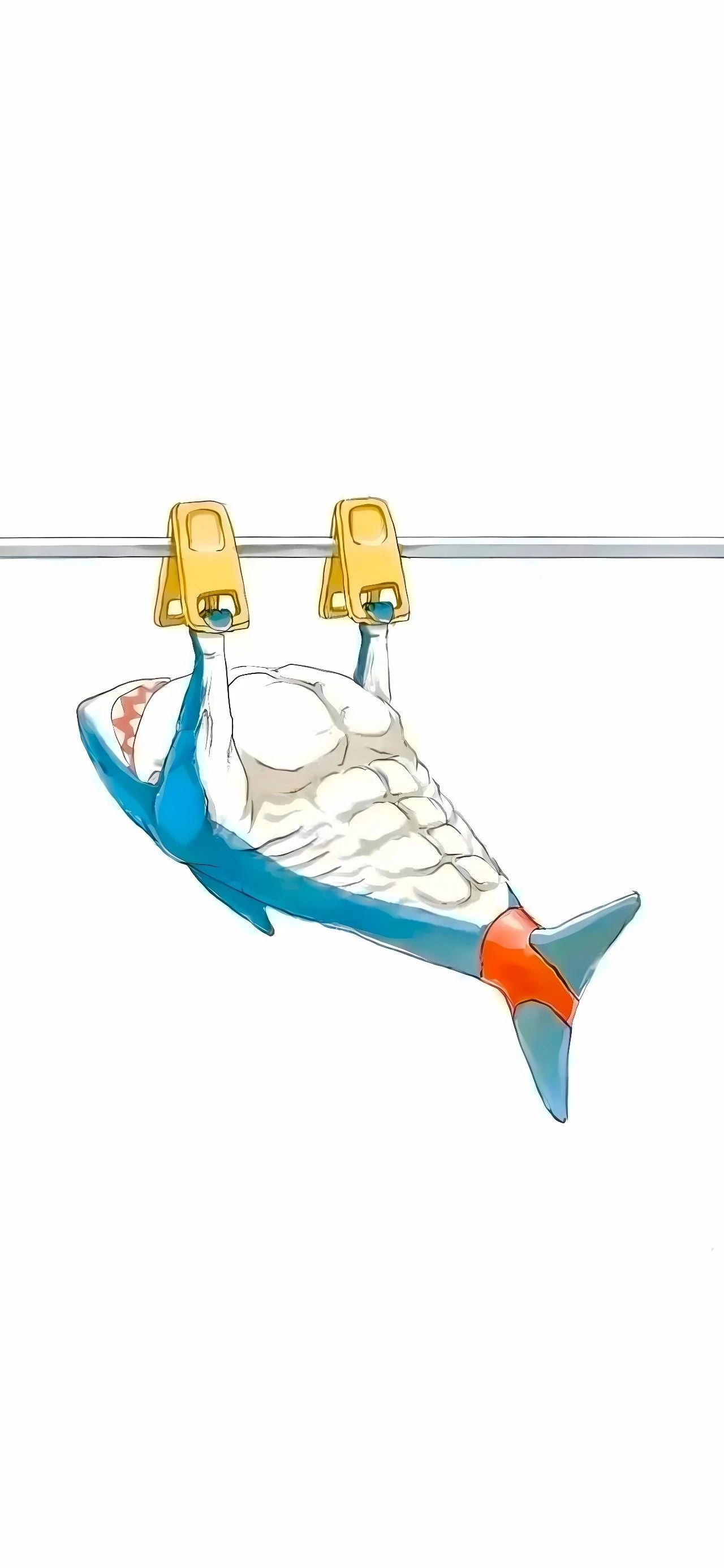 航母慈鯛 航母慈鯛 龍魚論壇