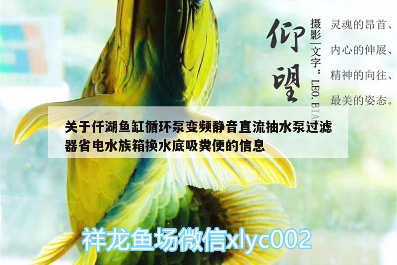 關于仟湖魚缸循環泵變頻靜音直流抽水泵過濾器省電水族箱換水底吸糞便的信息
