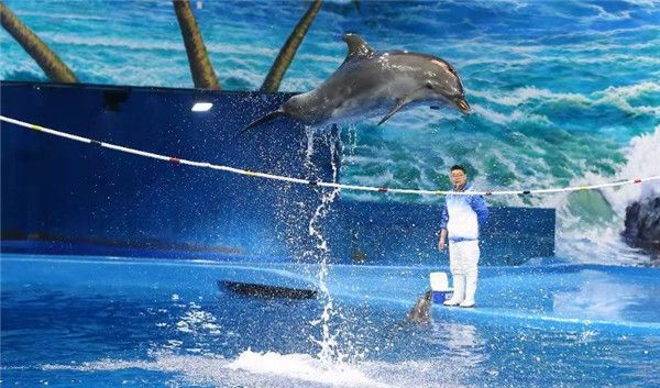 水族館專業委員會（中國自然科學博物院學會水族館專業委員會）