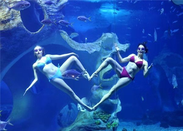 水族館專業委員會（中國自然科學博物院學會水族館專業委員會）