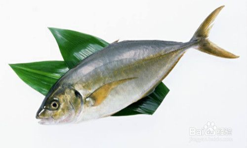 魚龍混雜中的最佳一肖，如何在復雜環境中識別真龍？
