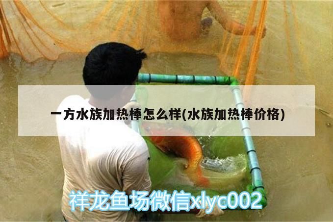 詳細(xì)閱讀:一方水族加熱棒怎么樣(水族加熱棒價(jià)格) 一方水族加熱棒怎么樣(水族加熱棒價(jià)格)