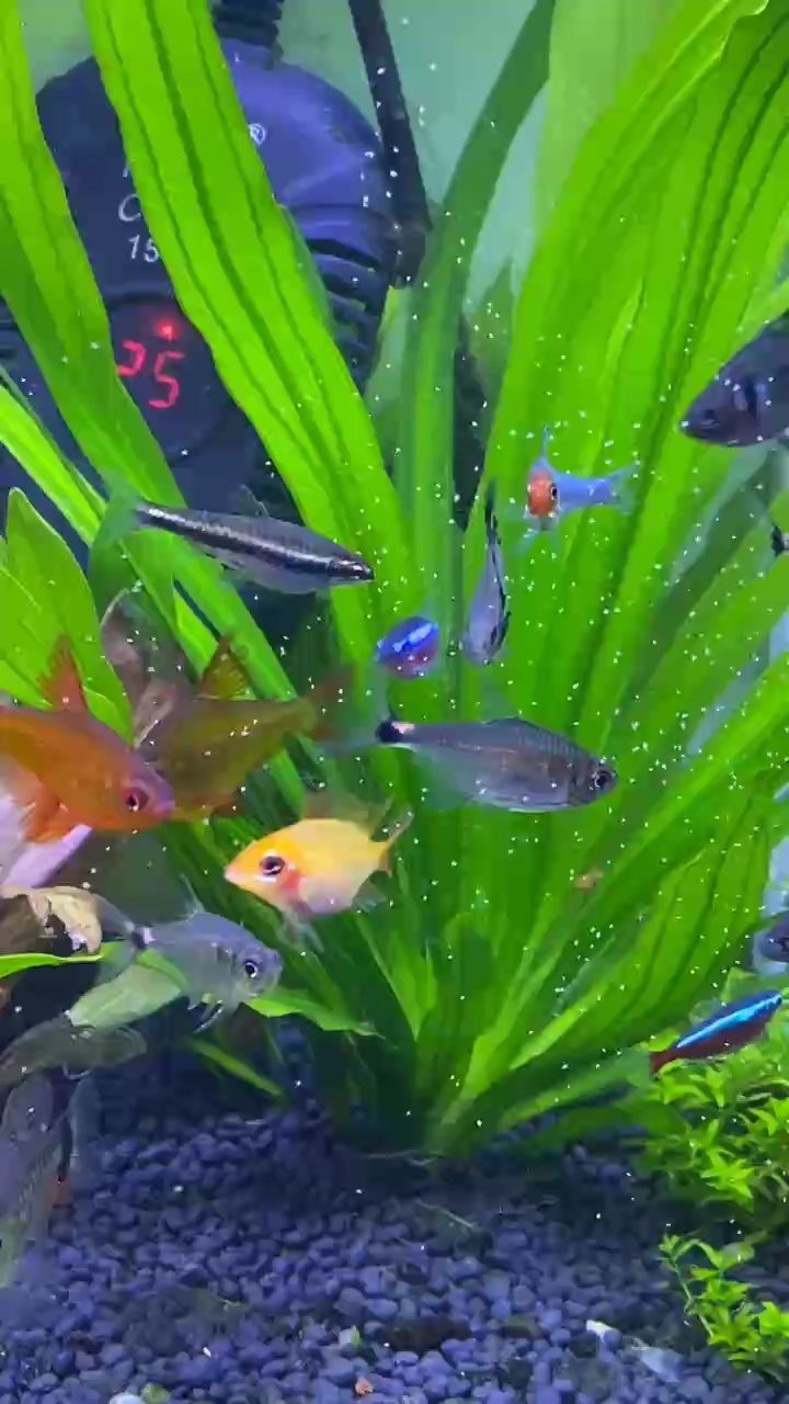 想當初