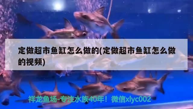 定做超市魚(yú)缸怎么做的(定做超市魚(yú)缸怎么做的視頻)