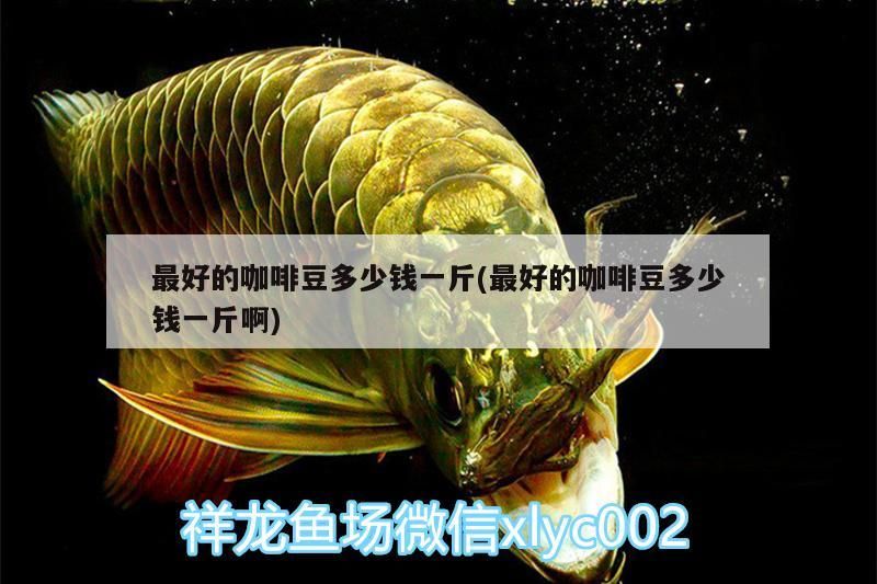 最好的咖啡豆多少錢一斤(最好的咖啡豆多少錢一斤啊)