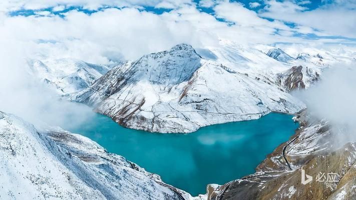 江門可麗愛魚缸專賣店，打造水族愛好者的夢幻家園