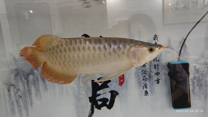 半年小記
