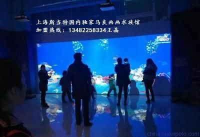 開水族館利潤有多大啊知乎（水族館加盟品牌選擇指南）