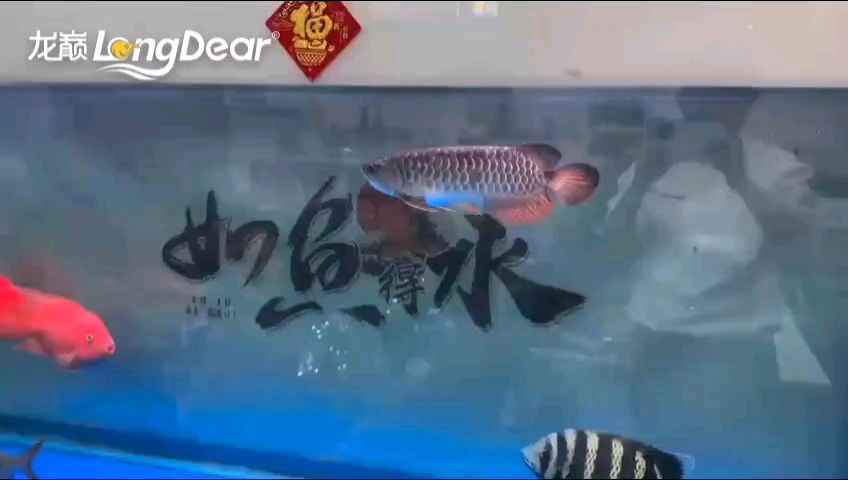 轉(zhuǎn)發(fā)713