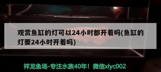 南充魚缸定做電話多少號 南充魚缸定做電話多少號 廣州孟吉爾 第2張 南充魚缸定做電話多少號 南充魚缸定做電話多少號 南充魚缸定做電話多少號 南充魚缸定做電話多少號 廣州孟吉爾 第2張