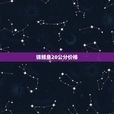 20公分錦鯉價格（20公分錦鯉報價）