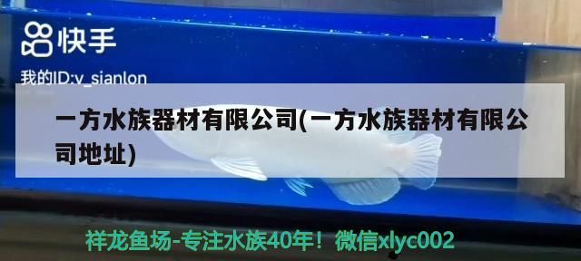 詳細(xì)閱讀:一方水族器材有限公司(一方水族器材有限公司地址) 一方水族器材有限公司(一方水族器材有限公司地址)