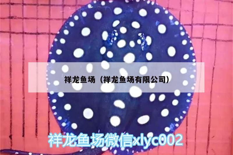 祥龍魚場（祥龍魚場有限公司）