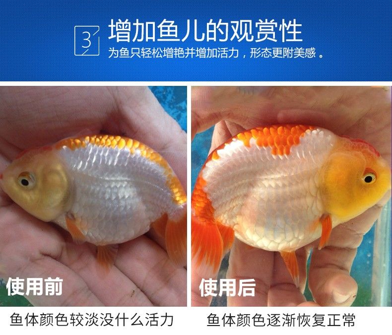 魚缸玻璃裁切尺寸計算器圖片（魚缸玻璃裁切尺寸計算器圖片大全）