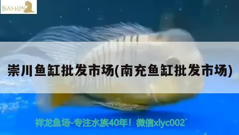崇川魚缸批發市場(南充魚缸批發市場)
