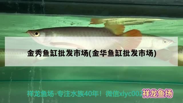 金秀魚缸批發市場(金華魚缸批發市場)