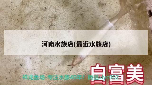 河南水族店(最近水族店)