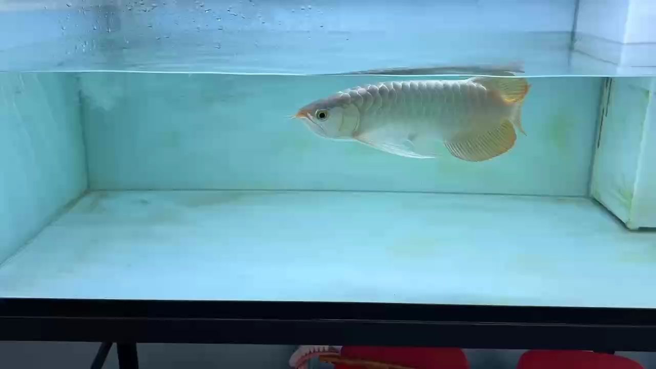 這頭型還可以吧？
