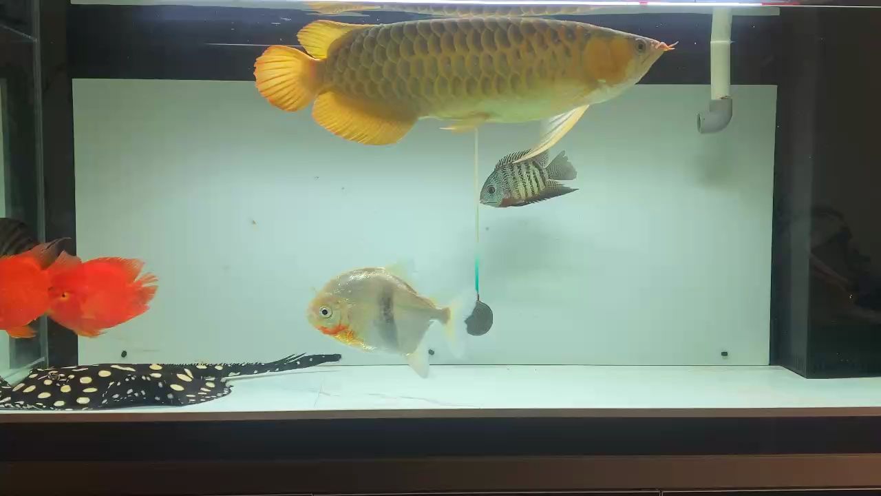好久沒來了！