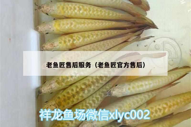 老魚(yú)匠售后服務(wù)（老魚(yú)匠官方售后）